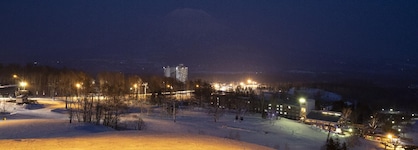 The Green Leaf Niseko Village