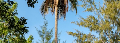Hakuna Majiwe Beach Lodge