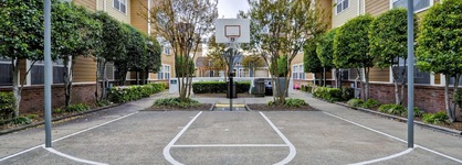 Homewood Suites By Hilton Memphis Germantown