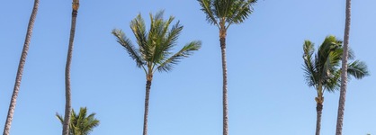 Maui Beach Hotel