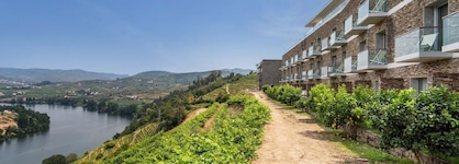 Delfim Douro Hotel