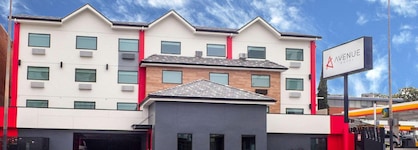 Avenue Hotel, Ascend Hotel Collection