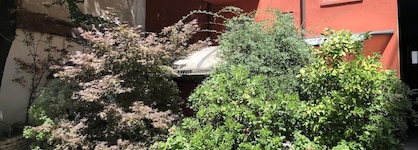 Il Girasole