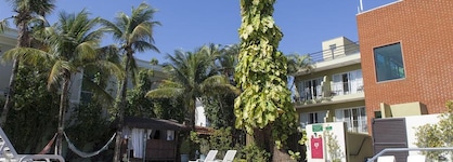 Hotel Vicino Al Mare