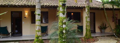 Bico Verde