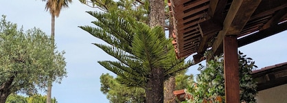 Villaggio La Pizzuta