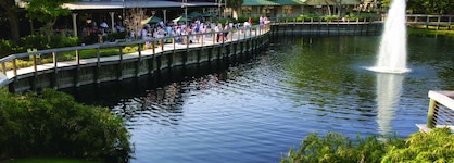 The Villas Of Amelia Island