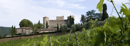 Castello Di Meleto