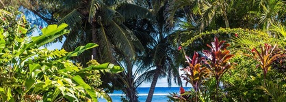 The Black Pearl Beach Side Apartments