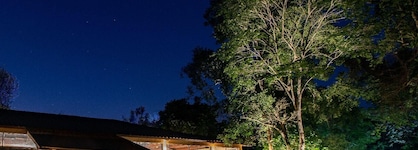 Yvy Hotel De Selva