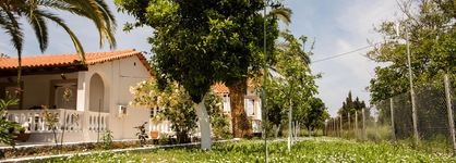 Paradise Village