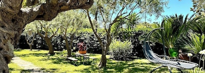 Hotel Boutique Ideal