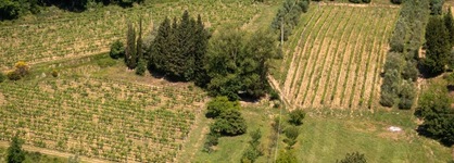Hotel Le Colline