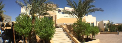 Red Sea Dive Center - Hotel & Dive Center