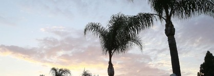 Sky Palm Motel