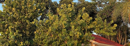 Turtle Beach Resort