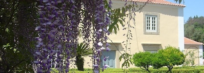 Quinta Do Scoto