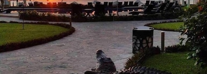 Quinta Bella Huatulco
