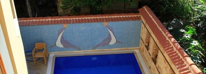 Bacchus Pension