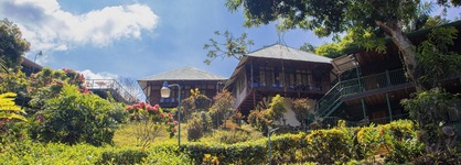 Tabulia Tree Hotel And Villas