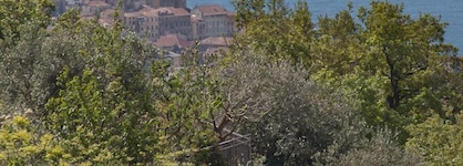 Il Mirto Bed And Breakfast