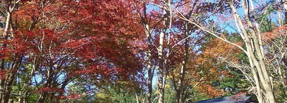 Yasuragino Bettei Shikitei