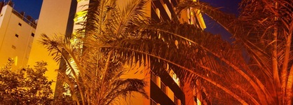 Ibis Florianopolis