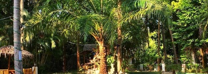 Papillon Bungalows