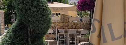 Vila Vasili