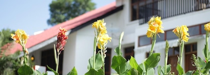 Boulevard Inn Mt Meru