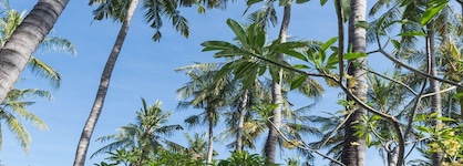 Palm Garden Amed Beach & Spa Resort Bali