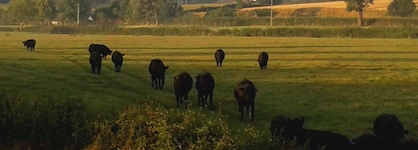 Courtbrook Farm