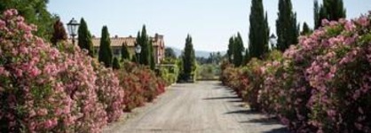Borgo Verde