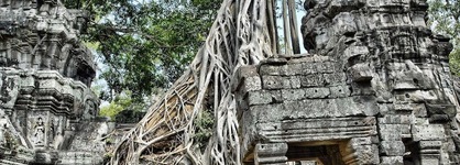 Golden Temple Boutique