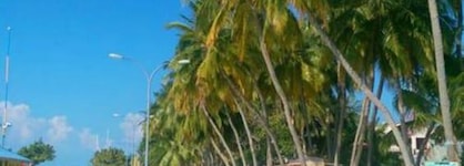 Alaika Maafushi