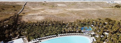 Wine & Books by the Sea