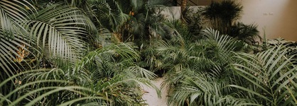 The Strabon Tulum