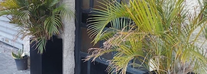 Jojo Tlv