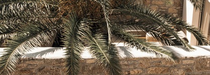 Asty Mykonos Hotel & Spa -World Of One Hotel Group