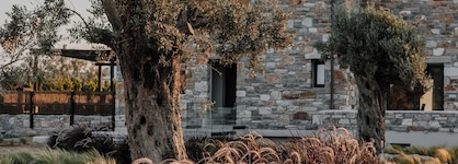 Onym Curated Villas