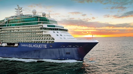 Foto Celebrity Silhouette