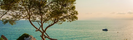 La Pineda