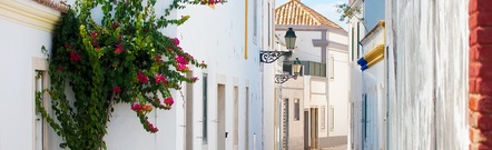 Faro
