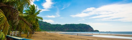 Jacó