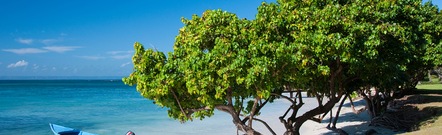 Samaná