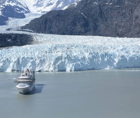 Foto Crown Princess 14