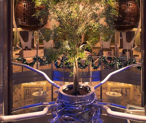 Foto Celebrity Reflection 25