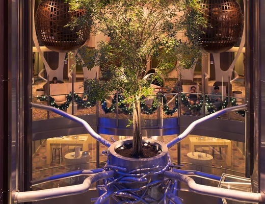 Foto Celebrity Reflection 25