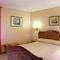 Hotel Turrull - map