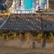 Domes Aulus Zante Autograph Collection - map